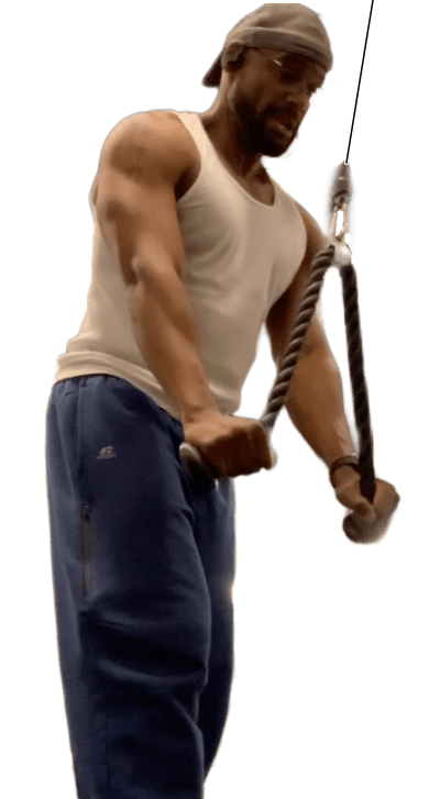 zb tricep pushdown